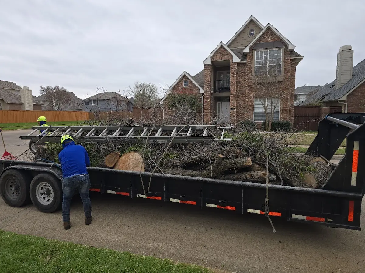 Expert Lot Clearing with proper safety equipment in Varnado